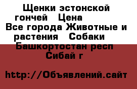 Щенки эстонской гончей › Цена ­ 7 000 - Все города Животные и растения » Собаки   . Башкортостан респ.,Сибай г.